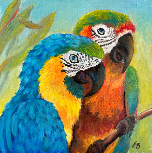 Parrots Macaw